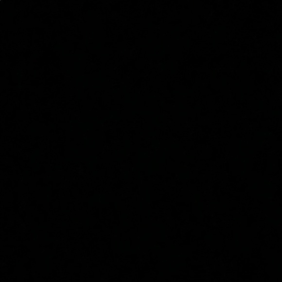 Meet your Posher, Addie - Picture 1 of 1